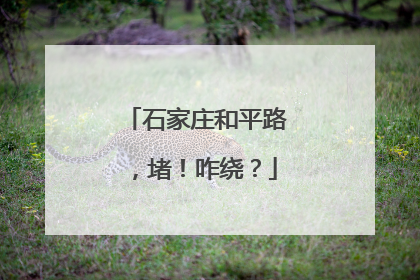 石家庄和平路，堵！咋绕？