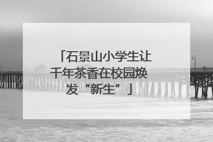 石景山小学生让千年茶香在校园焕发“新生”