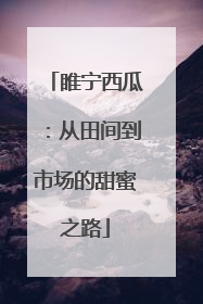 睢宁西瓜：从田间到市场的甜蜜之路