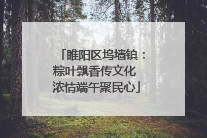 睢阳区坞墙镇：粽叶飘香传文化 浓情端午聚民心