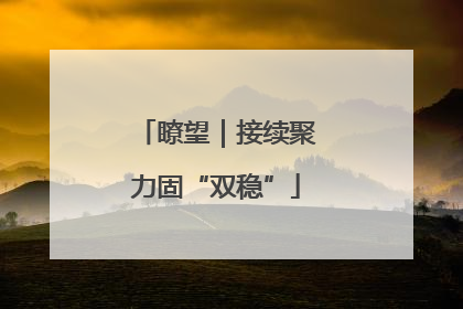 瞭望｜接续聚力固“双稳”