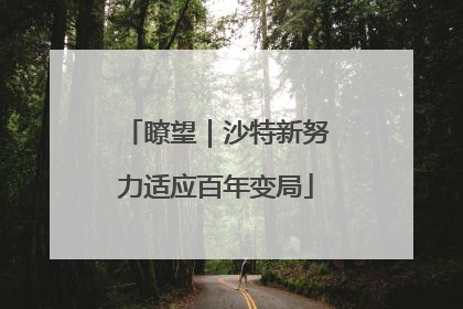 瞭望｜沙特新努力适应百年变局