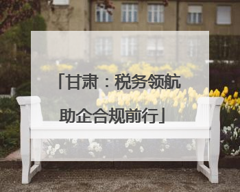 甘肃：税务领航 助企合规前行