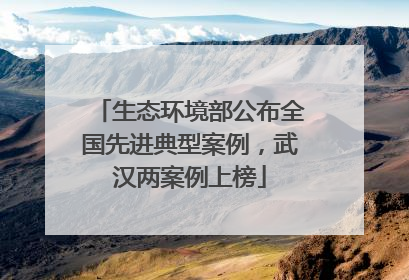生态环境部公布全国先进典型案例，武汉两案例上榜