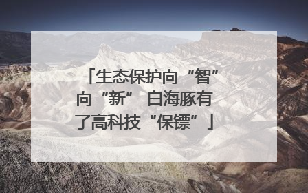 生态保护向“智”向“新” 白海豚有了高科技“保镖”