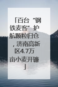 百台“钢铁麦客”护航颗粒归仓，济南高新区4.7万亩小麦开镰