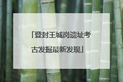 登封王城岗遗址考古发掘最新发现