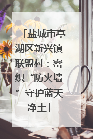 盐城市亭湖区新兴镇联盟村：密织“防火墙”守护蓝天净土