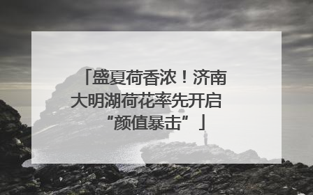 盛夏荷香浓！济南大明湖荷花率先开启“颜值暴击”