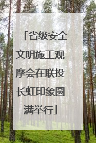 省级安全文明施工观摩会在联投长虹印象圆满举行