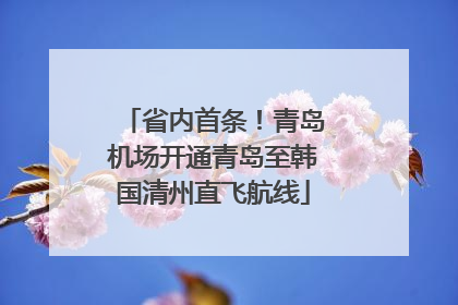 省内首条！青岛机场开通青岛至韩国清州直飞航线