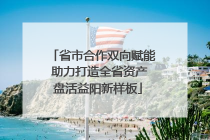 省市合作双向赋能 助力打造全省资产盘活益阳新样板
