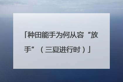 种田能手为何从容“放手”（三夏进行时）