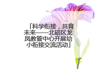 科学衔接，共育未来——北碚区龙凤教管中心开展幼小衔接交流活动