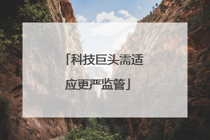 科技巨头需适应更严监管