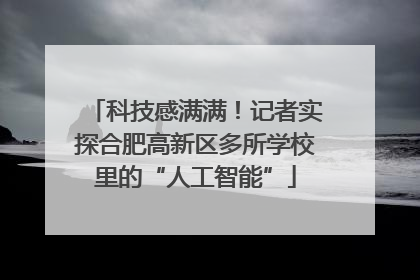 科技感满满！记者实探合肥高新区多所学校里的“人工智能”