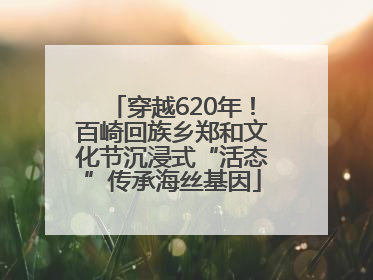 穿越620年！百崎回族乡郑和文化节沉浸式“活态”传承海丝基因