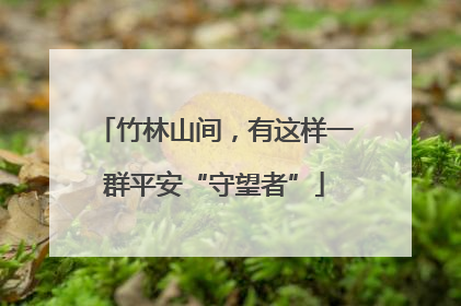 竹林山间，有这样一群平安“守望者”