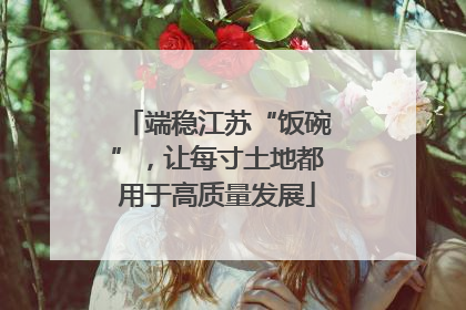 端稳江苏“饭碗”，让每寸土地都用于高质量发展
