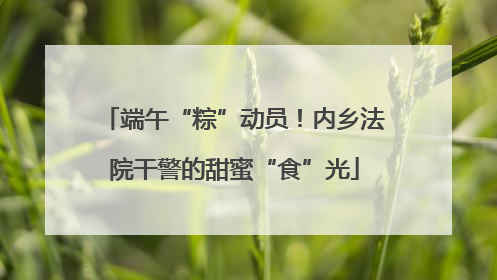 端午“粽”动员！内乡法院干警的甜蜜“食”光