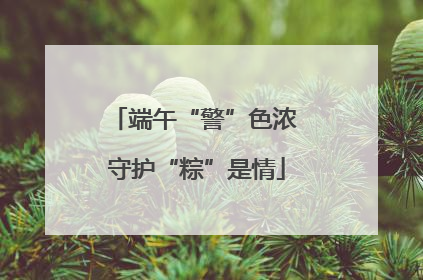 端午“警”色浓 守护“粽”是情
