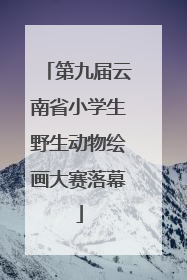 第九届云南省小学生野生动物绘画大赛落幕
