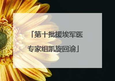 第十批援埃军医专家组凯旋回渝