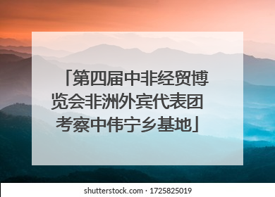 第四届中非经贸博览会非洲外宾代表团考察中伟宁乡基地