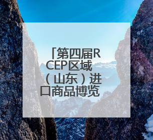 第四届RCEP区域（山东）进口商品博览会开幕
