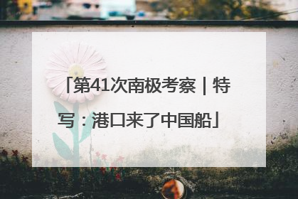 第41次南极考察｜特写：港口来了中国船