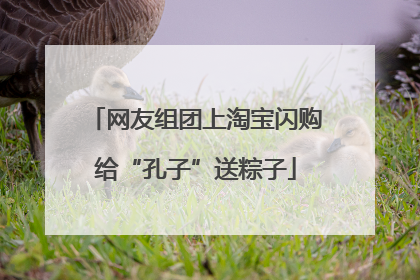 网友组团上淘宝闪购给“孔子”送粽子