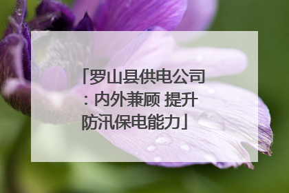 罗山县供电公司：内外兼顾 提升防汛保电能力