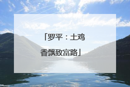 罗平：土鸡香飘致富路