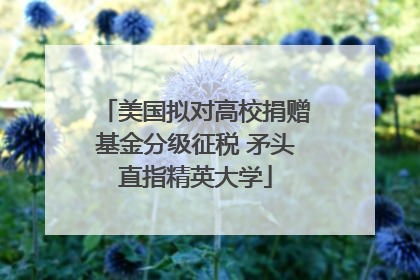 美国拟对高校捐赠基金分级征税 矛头直指精英大学