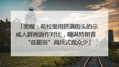 美媒：希拉里用挤满街头的示威人群画面作对比，嘲讽特朗普“低能量”阅兵式观众少