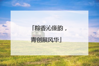 粽香沁廉韵，青创展风华
