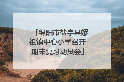 绵阳市盐亭县嫘祖镇中心小学召开期末复习动员会