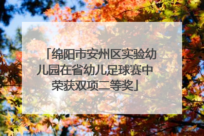 绵阳市安州区实验幼儿园在省幼儿足球赛中荣获双项二等奖