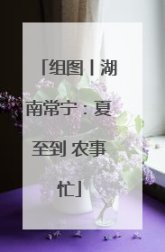 组图丨湖南常宁：夏至到 农事忙