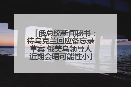 俄总统新闻秘书：待乌克兰回应备忘录草案 俄美乌领导人近期会晤可能性小