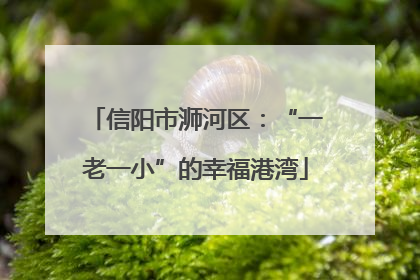 信阳市浉河区：“一老一小”的幸福港湾