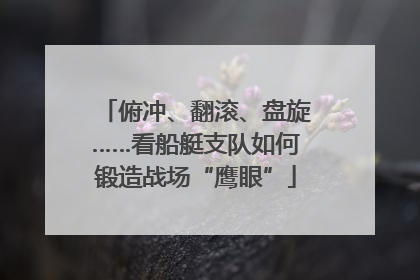 俯冲、翻滚、盘旋……看船艇支队如何锻造战场“鹰眼”