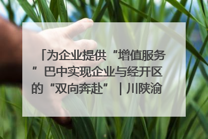 为企业提供“增值服务”巴中实现企业与经开区的“双向奔赴”｜川陕渝网络名人巴中行