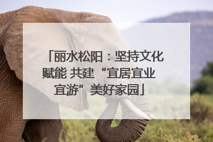丽水松阳：坚持文化赋能 共建“宜居宜业宜游”美好家园