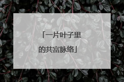 一片叶子里的共富脉络