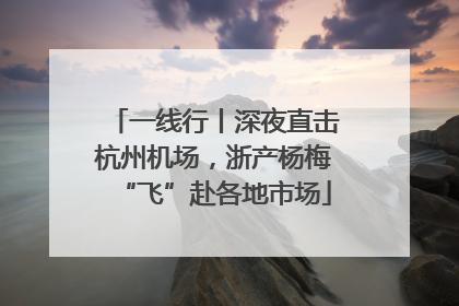 一线行丨深夜直击杭州机场，浙产杨梅“飞”赴各地市场