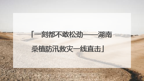 一刻都不敢松劲——湖南桑植防汛救灾一线直击