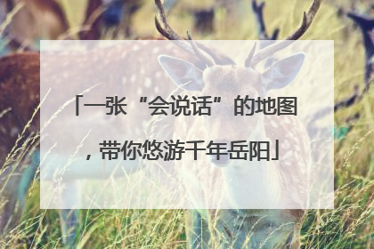 一张“会说话”的地图，带你悠游千年岳阳