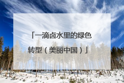 一滴卤水里的绿色转型（美丽中国）