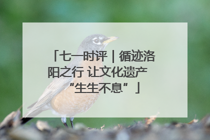 七一时评｜循迹洛阳之行 让文化遗产“生生不息”